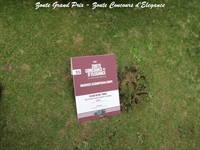 Zoute Grand Prix - Zoute Concours d'Elegance -  11 oktober 2026