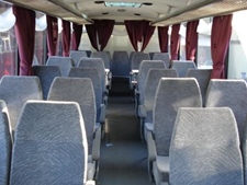 Saurer Miss Traumli