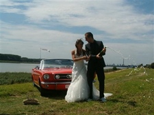 Ford Mustang (cabrio)
