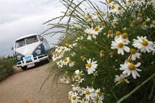 Volkswagen splitbus T1