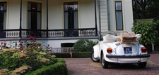 Volkswagen Kever Cabriolet (triple white) (cabrio)