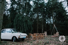 Daf 46