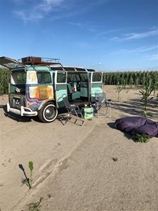 Volkswagen T1 Samba de Luxe 21 raams