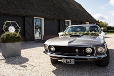 Ford Mustang Grande