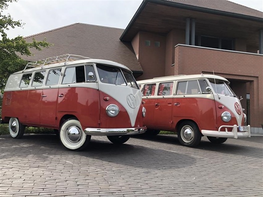 Oldtimer te huur: Volkswagen VW T1 microbus 9 plaatsen 1956
