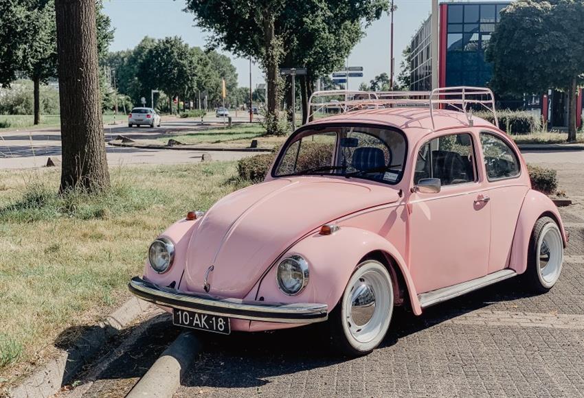 Oldtimer te huur: Volkswagen Kever roze