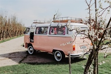 Volkswagen T2 bus perzikkleurig
