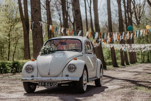 Oldtimer te huur: Volkswagen Kever