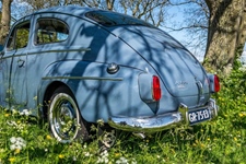 Volvo Pv544 